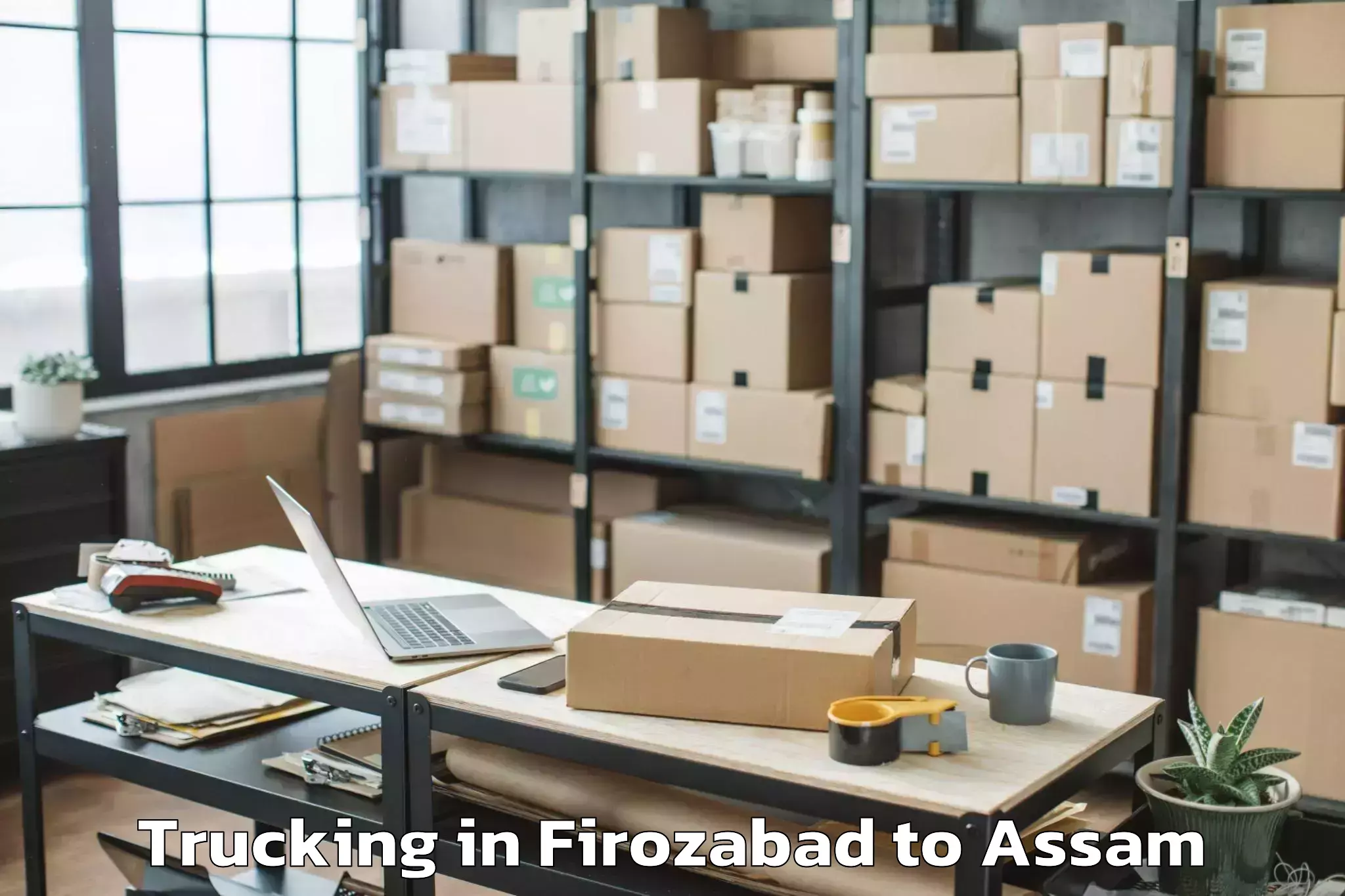 Book Your Firozabad to Dhakuakhana Pt Trucking Today